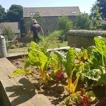 Stylish Terrace Garden
