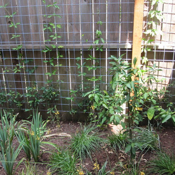 Small space turned into a highly functional garden that’s safe for a young child