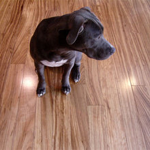 Wood flooring options