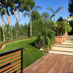 Agave parryi - Landscape - by David de la Luz