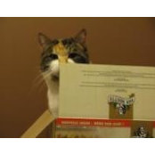 Brenda Coutts-Labonte's photo