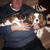 Jan Herrstrom's photo