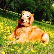Kimberly McDermott Stefanowicz's photo