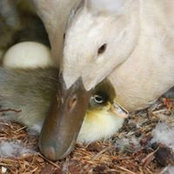 Sandi Langford's photo
