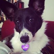 Foto von Alecia Walls-Barton