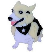 Bibi Corgiさんの写真
