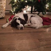 Lauralee Norris's photo