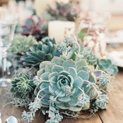 Jenna Kay's photo