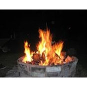Robyn Thoreson Hede's photo