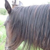 Michelle Elting's photo