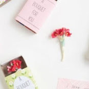 Audrey Chassard's photo