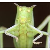 Niels Olsen's photo