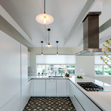 La Jolla Contemporary Remodel