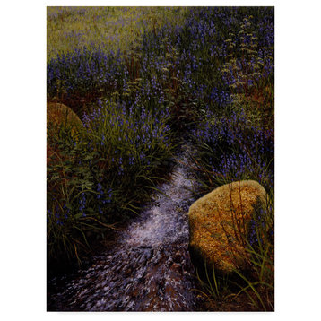 Bill Makinson 'Sparkling Water' Canvas Art, 18"x24"