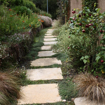 Western Garden