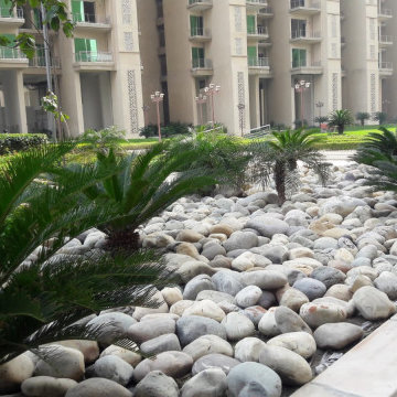 Rock Garden