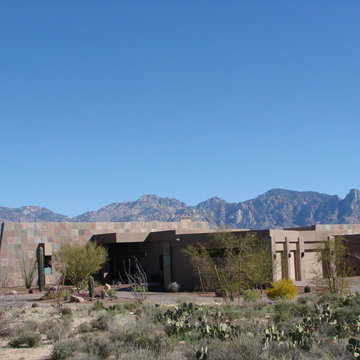 Desert Modern