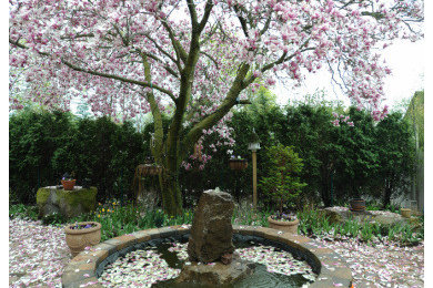Photo of a landscaping in Other.