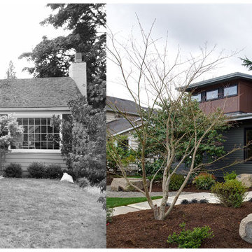 Before and Afters