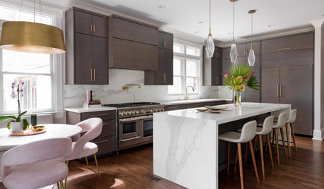 Bright Modern Makeover Preserves Historic Charm Near Chicago