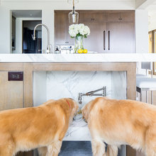 Dog Areas
