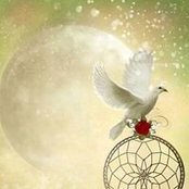 Shernettia Sleet's photo