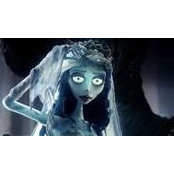 Michelle Morelli-Peterson's photo