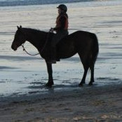 Caelyn Callahan's photo