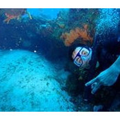 Ronald Martinez's photo