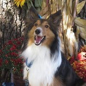 Brenda Murray's photo
