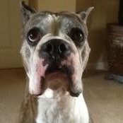 Renee Collins Ramirez's photo