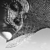 Francine Mello's photo