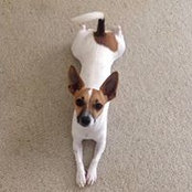 Janine Smith's photo