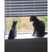 Nikki Ebner's photo