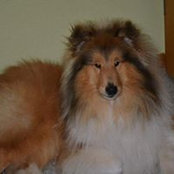 Katrin Nadolle's photo