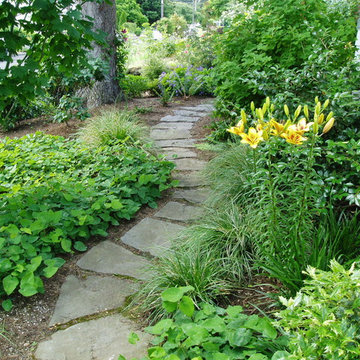 Woodland Path