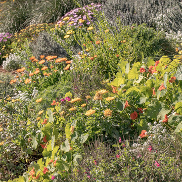 Summerland Beach Deck and Landscape