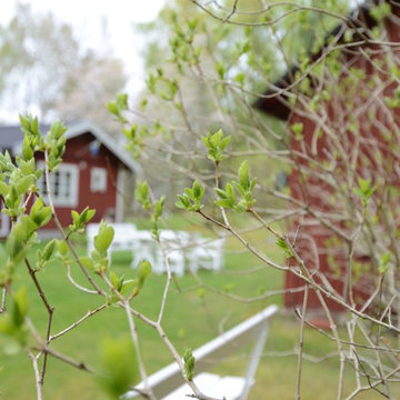 Den naturliga trädgården
