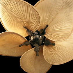 Fanimation - Islander by Fanimation - Ceiling Fans
