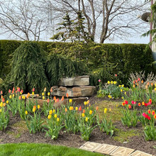 Graceland Landscaping