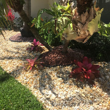 Bromeliads with Egg rocks