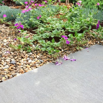 Transitional Courtyard Garden