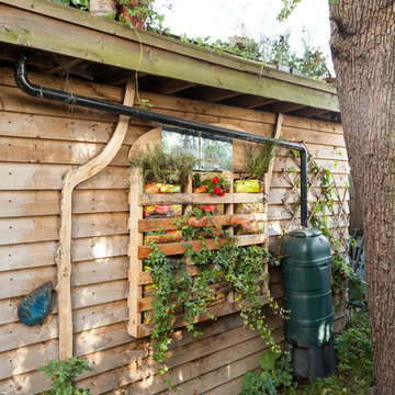 Shed of the Year 2014