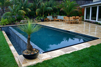 Inspiration for a tropical pool remodel in San Francisco