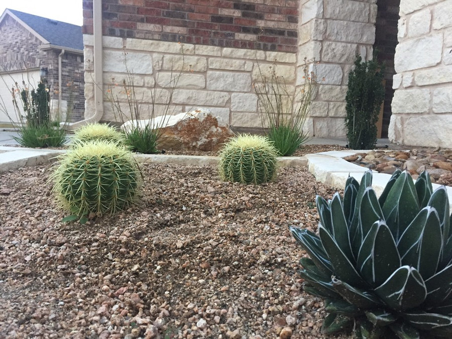 Xeriscape