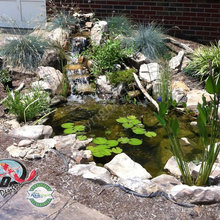 Pond