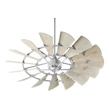 Ceiling Fans