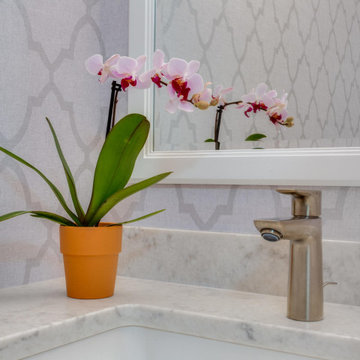 Chantilly Master Bath, Guest Bath & Powder Room