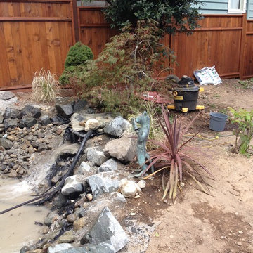 Zen Water project - ongoing