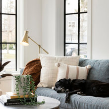 sofa colors